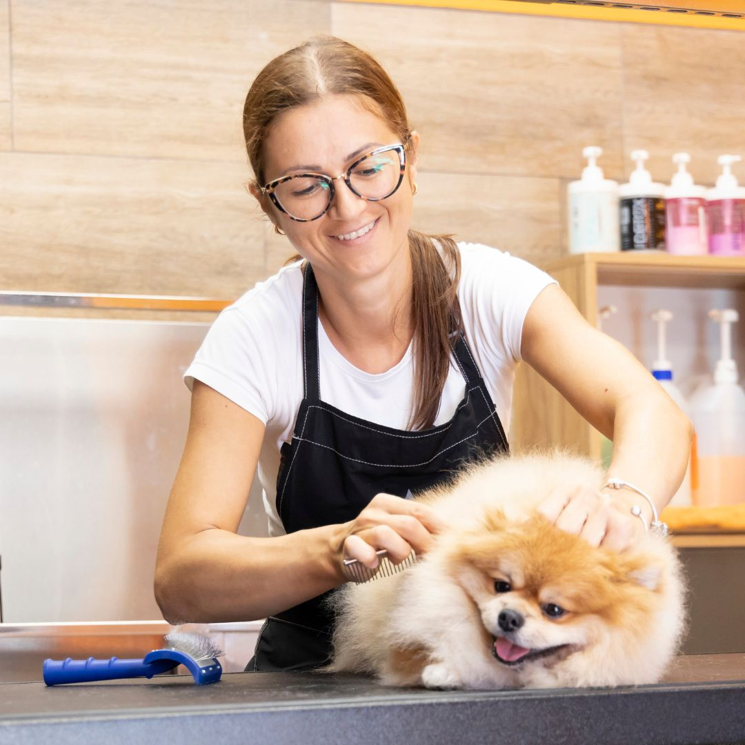 Helpful-Groomer.webp