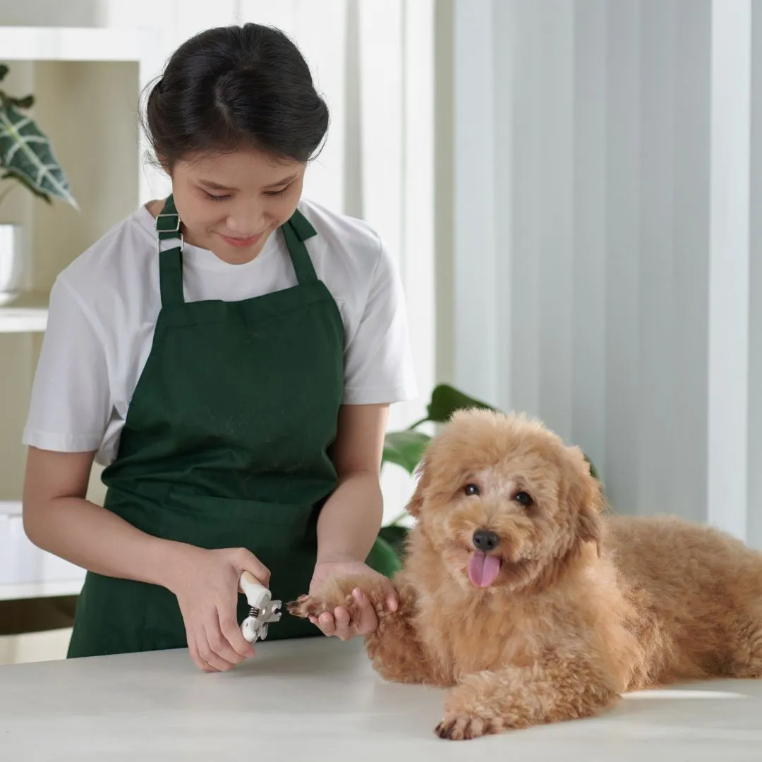 nail-cutting-services (1)